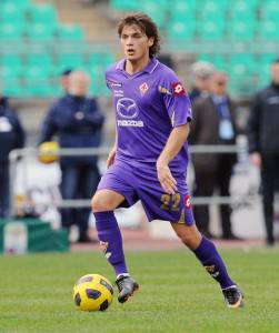 Ljajic (Getty Images)